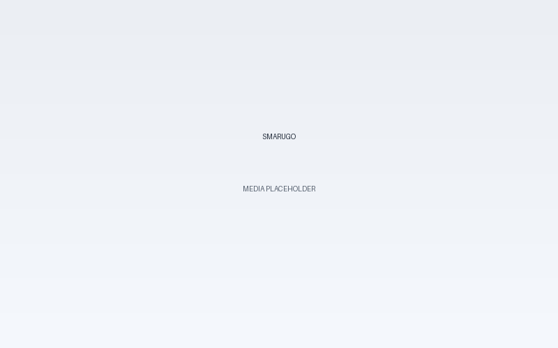 Logo Footer